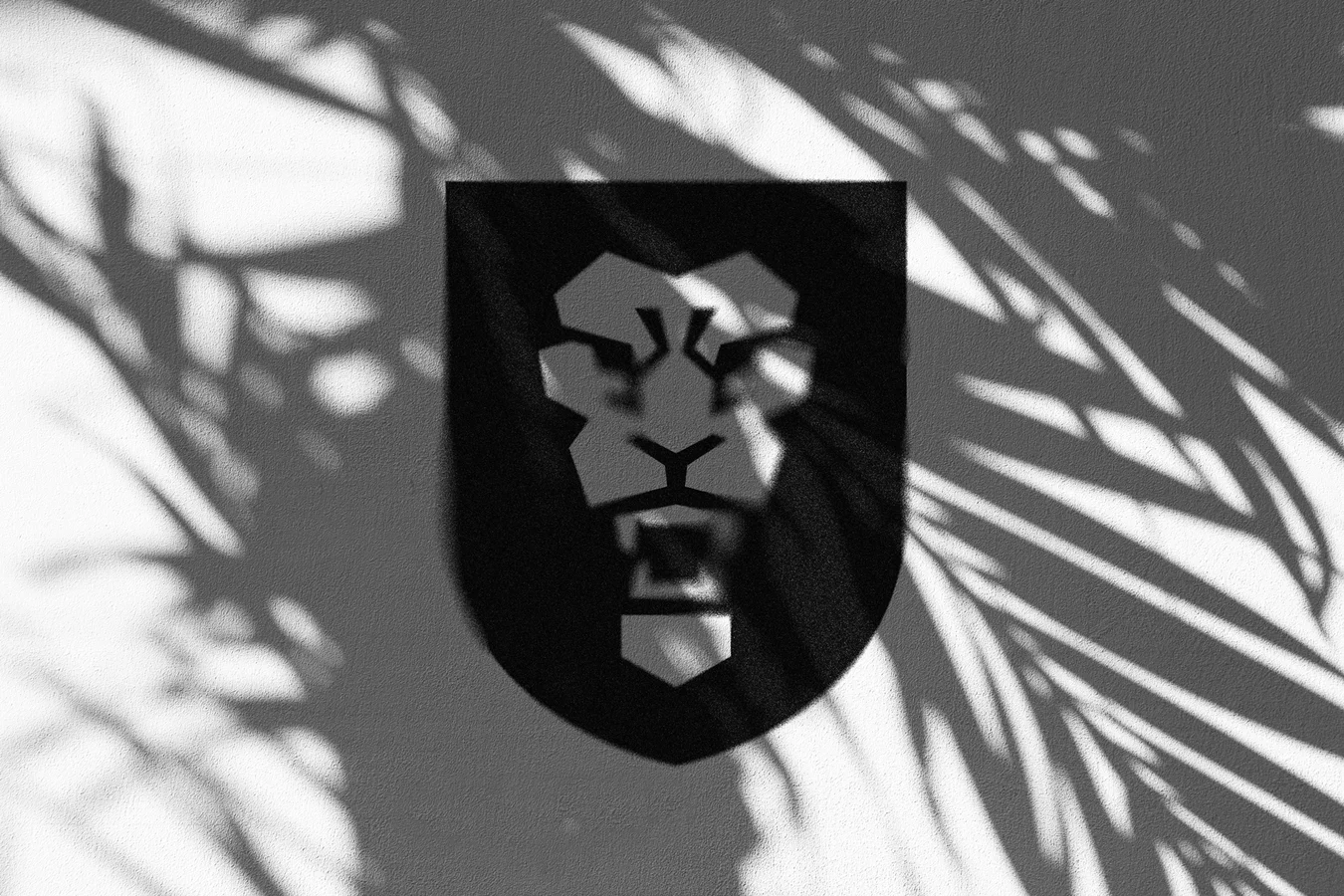Black shield with a geometric lion face, softened by palm-leaf shadows on a white wall